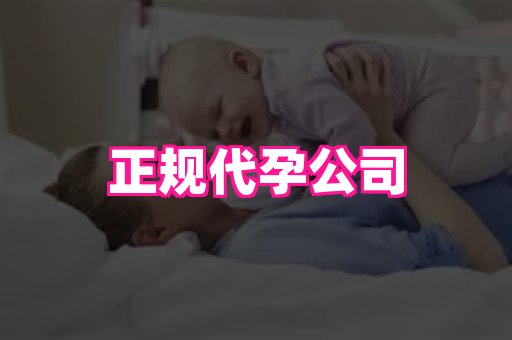 海口助孕网站 2