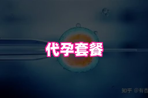 海口助孕网站 3