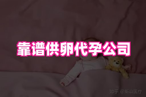海口助孕网站 4